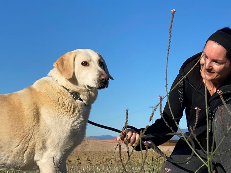 Patty - Vorsichtig auf den Pfoten, groß im Herzen