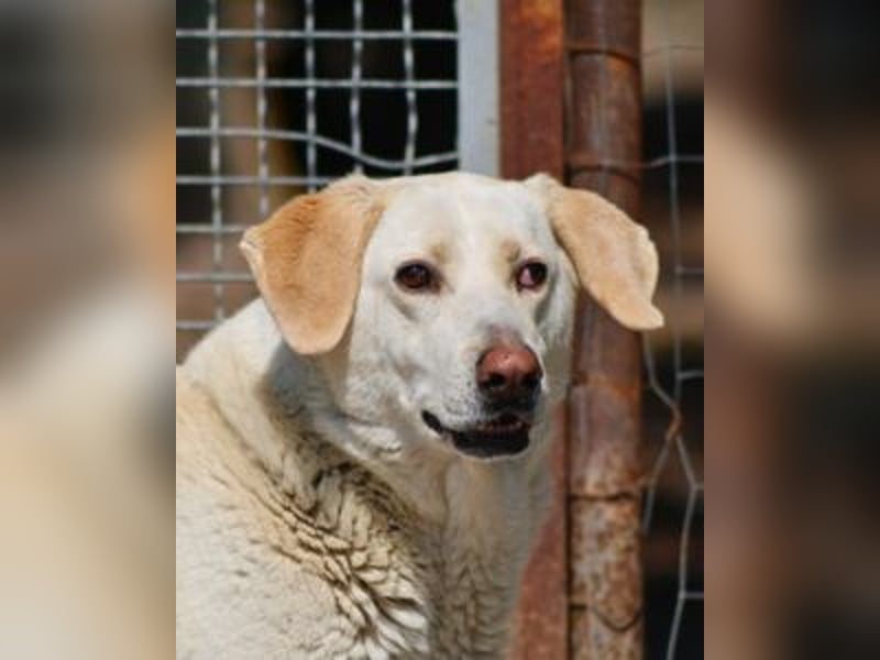Patty - leise Schritte, große Hoffnung