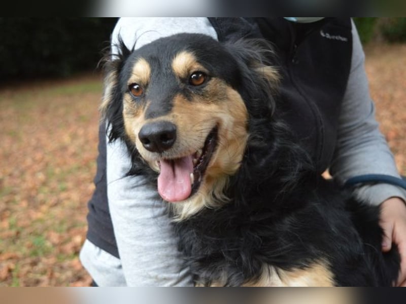 Daxter - wann darf sein Leben beginnen? Daxter - wann darf sein Leben beginnen?