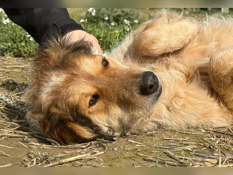 Ligorio - Zwölf, elf, zehn ... eins - Ligorio