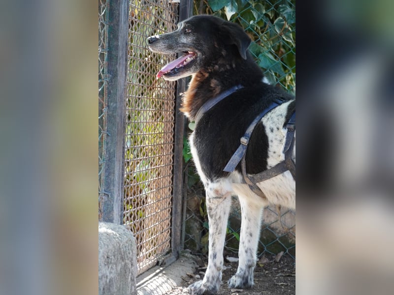 Cambiamento - lasst uns sein Leben verändern