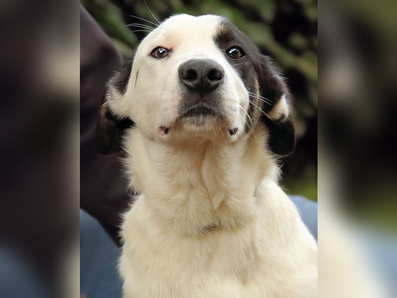 Marius - We proudly present...