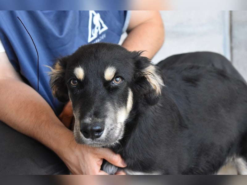 Rumiro - Sag mal...ist das wirklich die Welt?