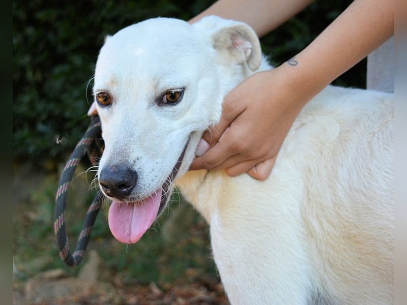 Dafnielle - Zukunft gesucht