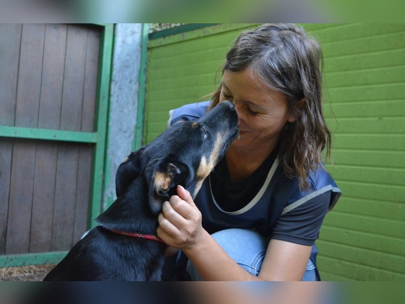 Djamica - fröhliche Junghündin mit offenem Herzen