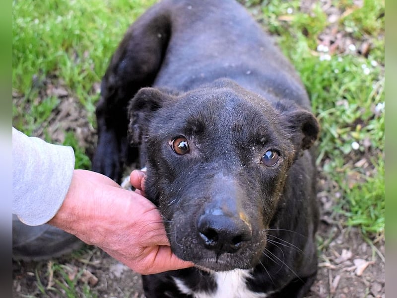 Rhino - NOTFALL !!! - Wenn man nicht auffällt, geht man unter