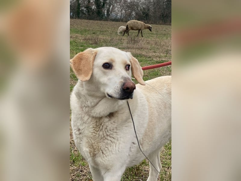 Patty - leise Schritte, große Hoffnung