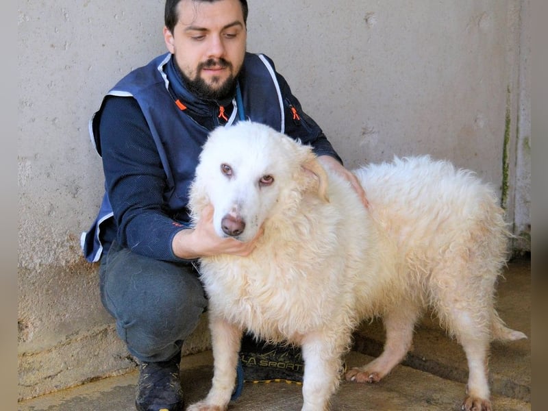 Abreena - Selbstbewusst, verspielt und voller Zuneigung