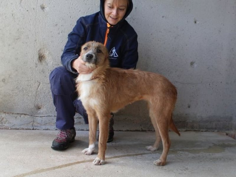 Renilde - eifrige Interviewpartnerin hat Pluspunkte gesammelt