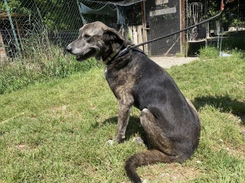 Lola - Das Herz hat seine Gründe