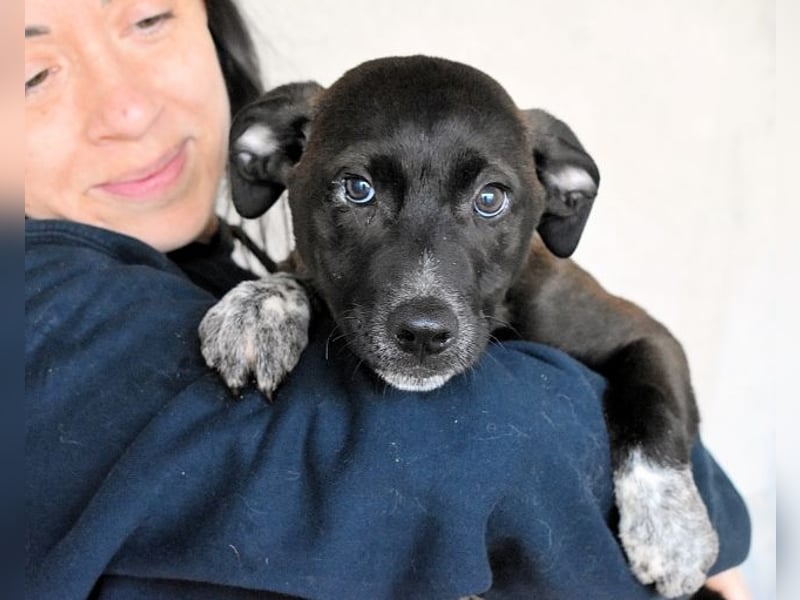 Marisca - Es soll DEIN Leben werden