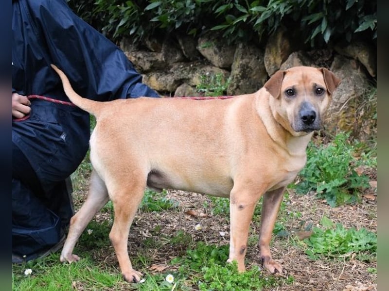 Meleagro - Die perfekte Morgenroutine Meleagro - Die perfekte Morgenroutine