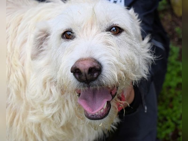 Gatsby - Der große Gatsby sucht seine Daisy