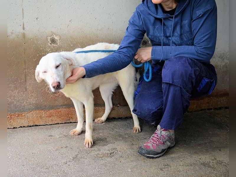 Arriel - aller guten Dinge sind drei