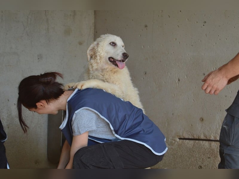 Abreena - Selbstbewusst, verspielt und voller Zuneigung