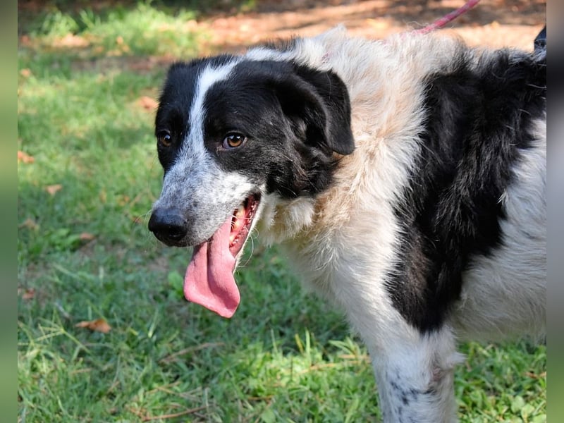Jessie - Wer nicht neugierig ist, erfährt nichts