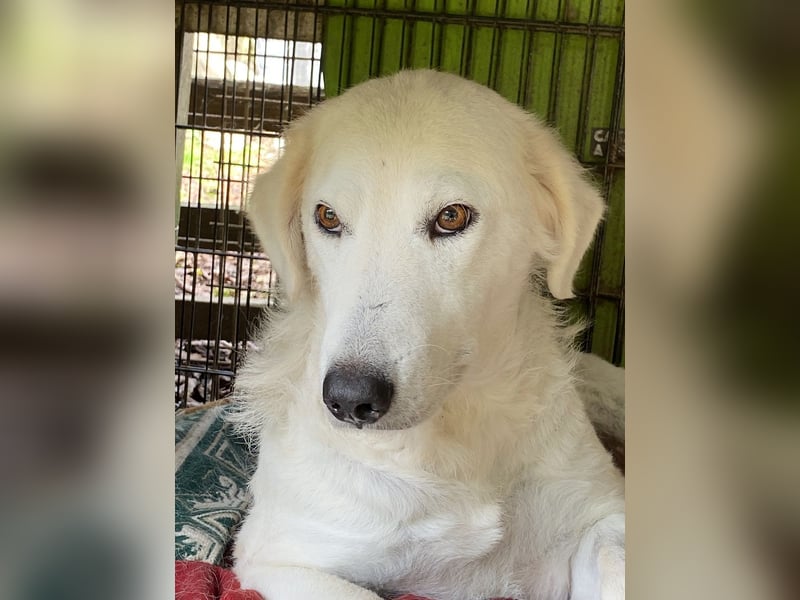 Numa - Gesucht: warmes Plätzchen, um aufzutauen