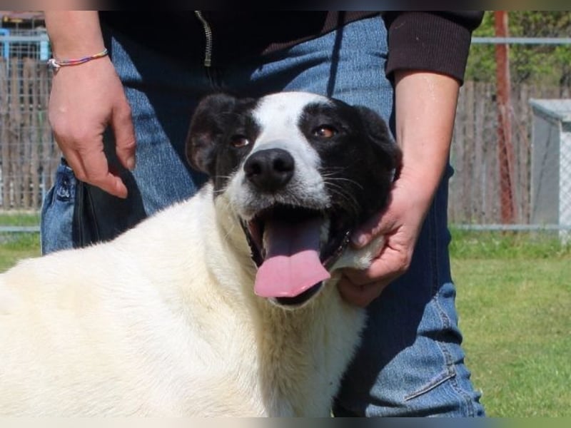 Florentino - Der hübscheste aller Batmans