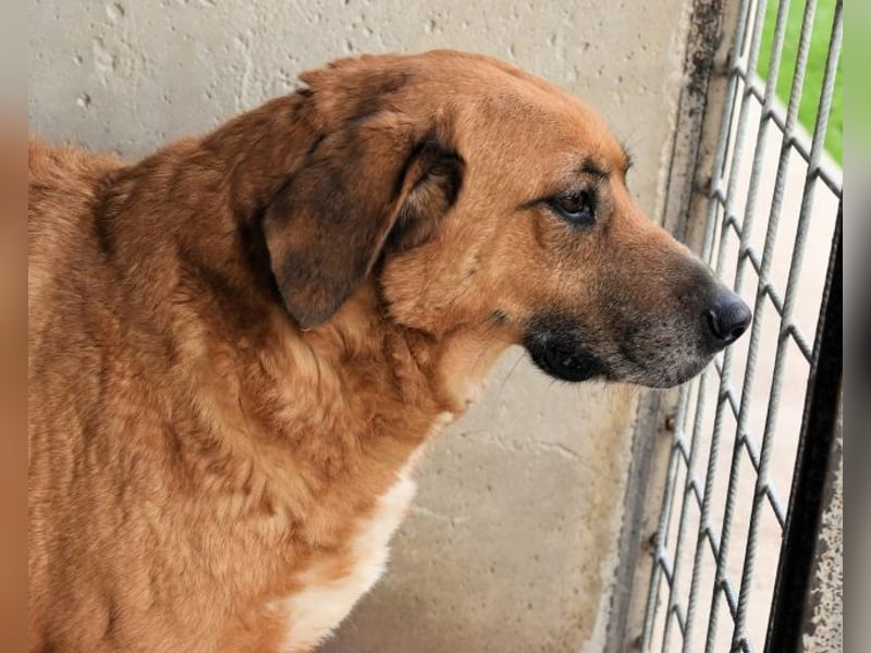 Kemp - Runder Rundum-Schatz