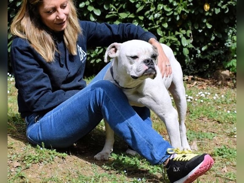 Nickolaus - Alle guten Dinge sind drei