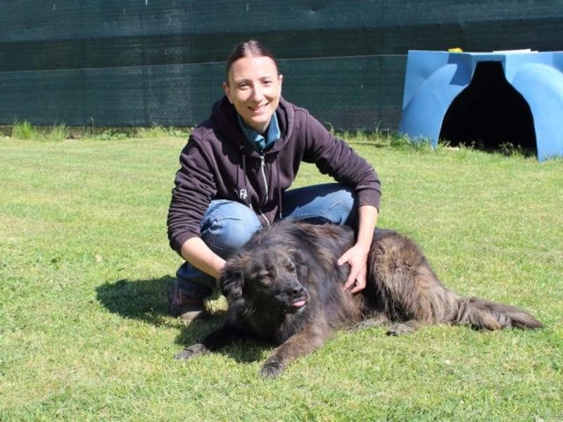 Nayra - unsere Süße