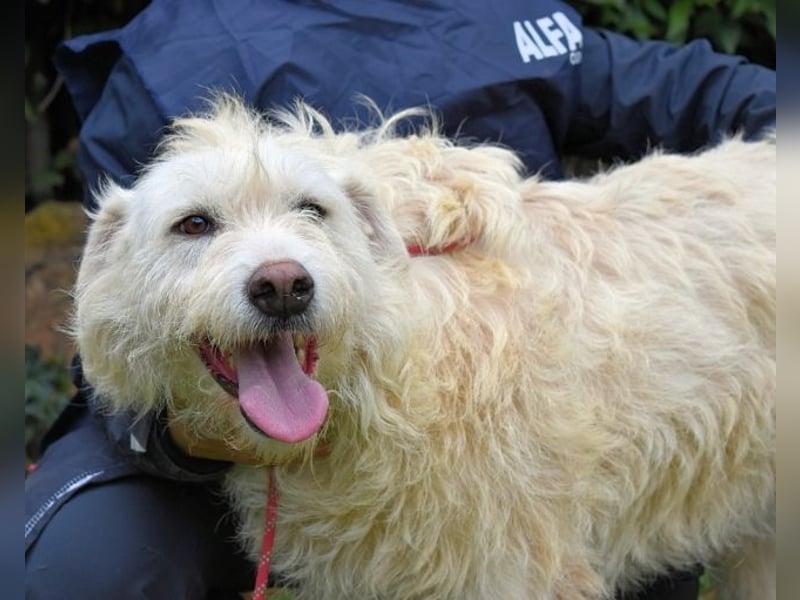 Gatsby - Der große Gatsby sucht seine Daisy