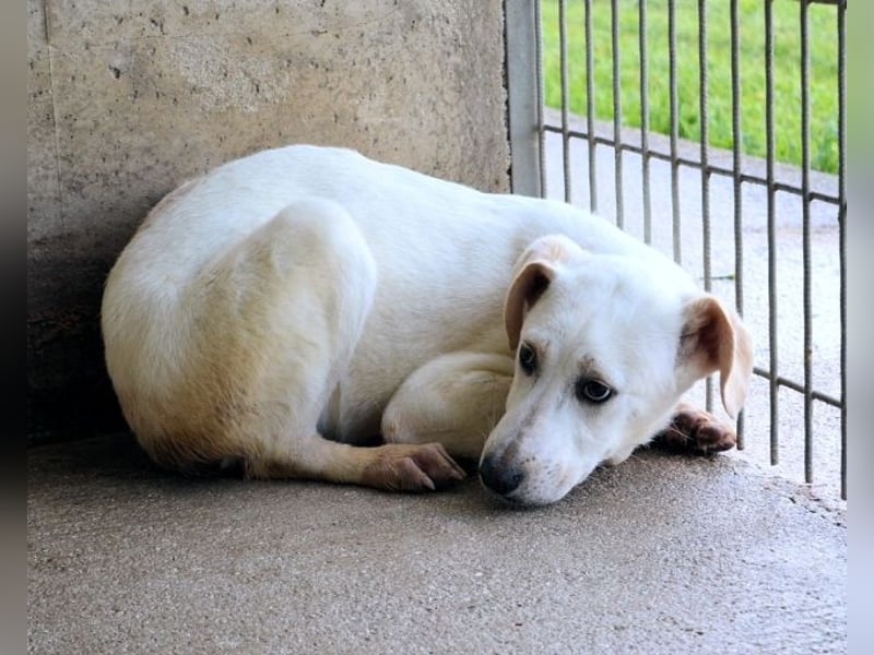 Radford - Ein Anfang, der nie kam