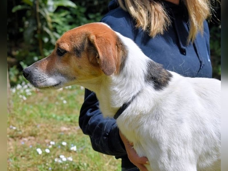 Kamyll - Der Platz neben dir