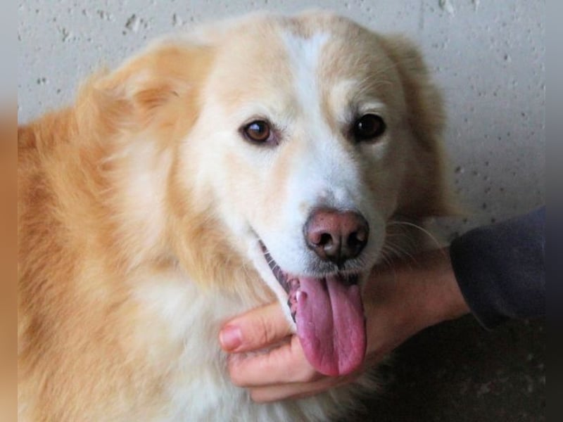 Tirvian - Kurz Alarm, dann Charme