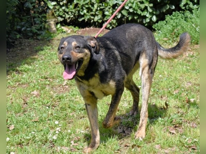 Montego - Sonne im Bauch und Brausekribbeln im Hirn