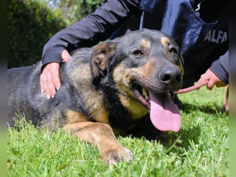 Montego - Sonne im Bauch und Brausekribbeln im Hirn