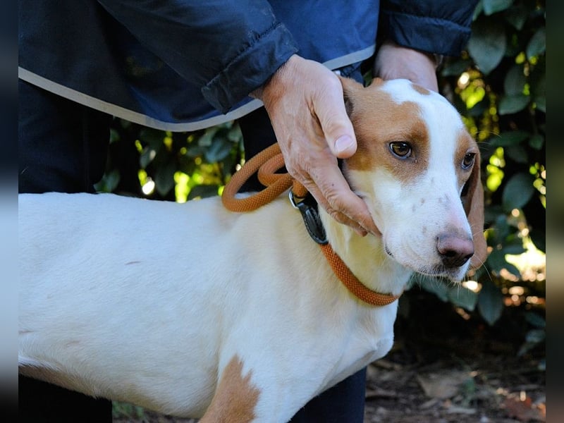 Samarie - Abenteuerlust und Kuschelzeit