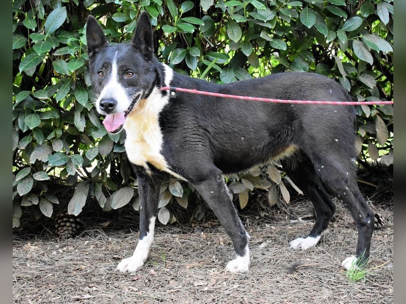 Edelmira - Das Leben in homöopathischen Dosen kennenlernen