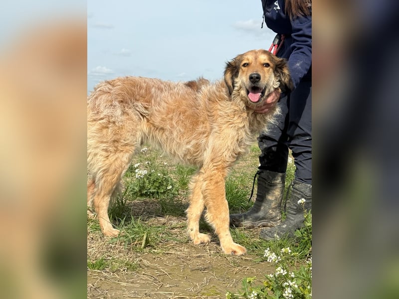 Ligorio - Zwölf, elf, zehn ... eins - Ligorio