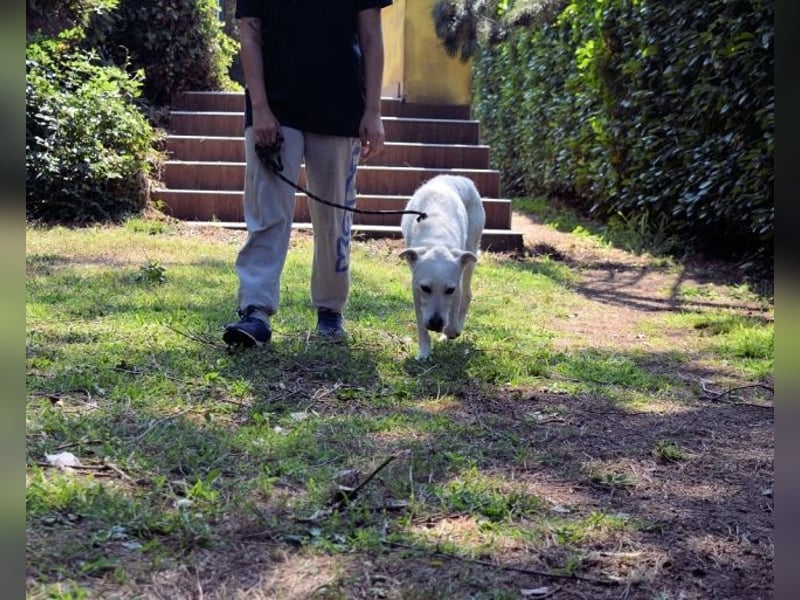 Dafnielle - Zukunft gesucht