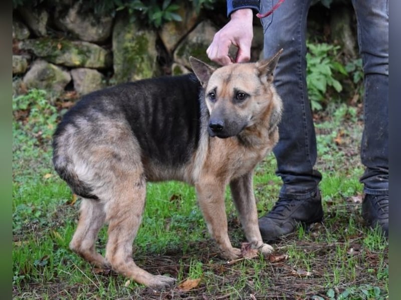 Alvida - warum tun sie das?