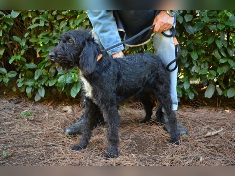 Elide - das doppelte Lottchen zu Edera