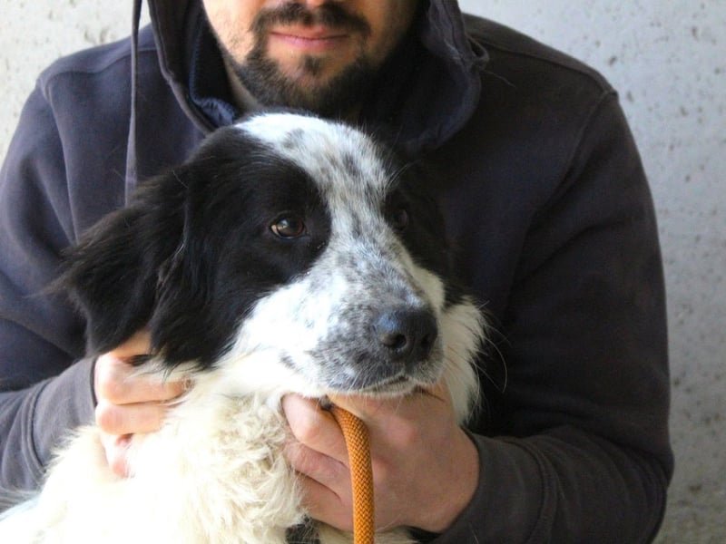 Bramion - Die Sache mit dem Mut, der Statistik und Bramion