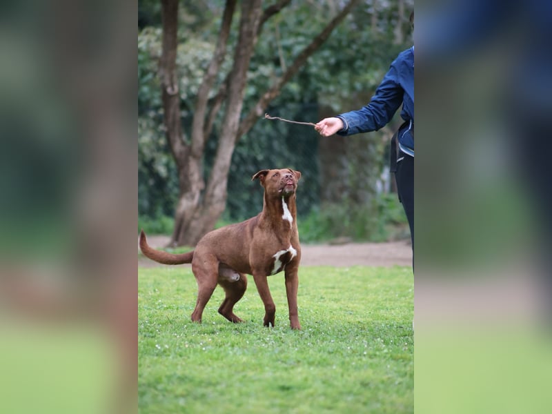 Birdy - Ich glaube, es wird Frühling