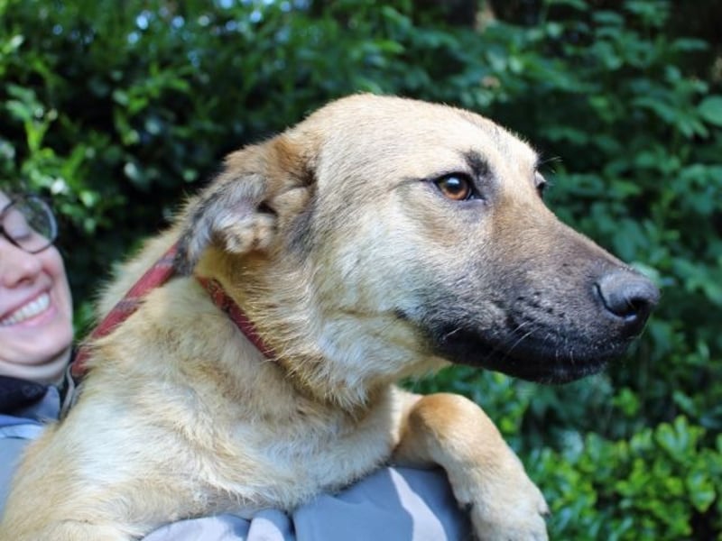 Zeebo - Z wie Zuckersüß und Zauberhaft