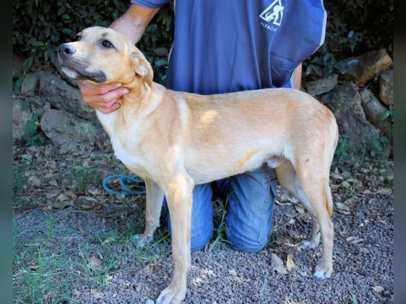 Ulbert - hat alles verloren