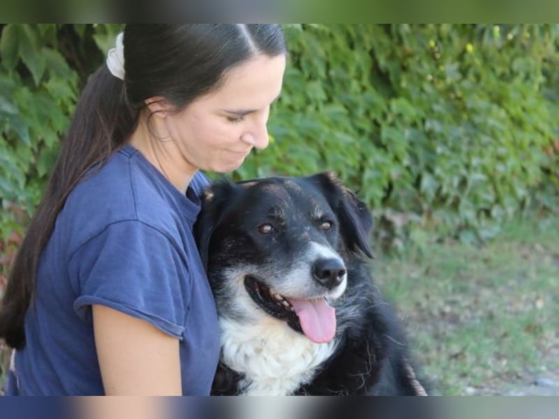 Carmine - Bereit für den Neustart