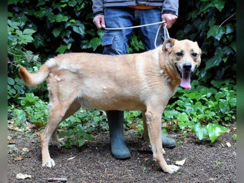 Cesny - Noch ist es nicht zu spät, aber es wird höchste Zeit!