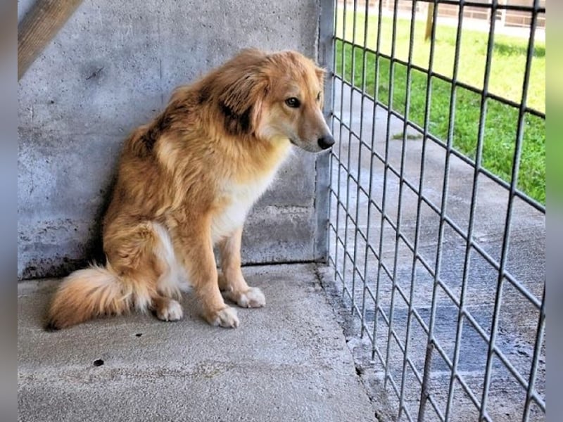 Jonathen - Die Flucht in mir