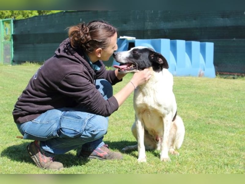 Florentino - Der hübscheste aller Batmans