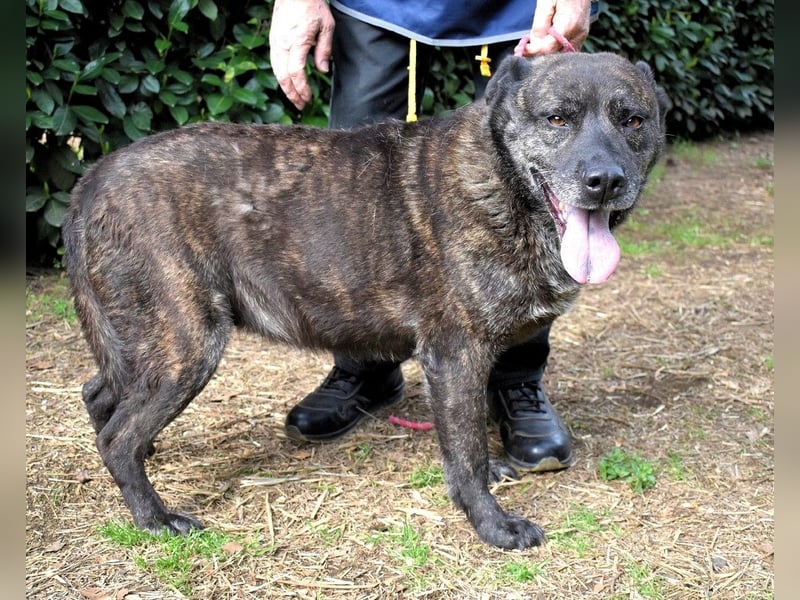 Fareeda - Wo die Schmetterlinge wohnen