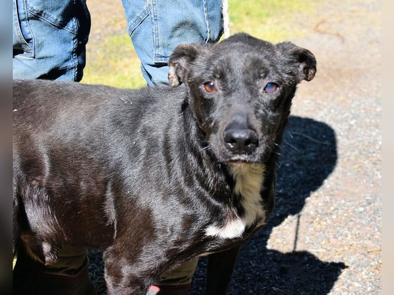 Rhino - NOTFALL !!! - Wenn man nicht auffällt, geht man unter