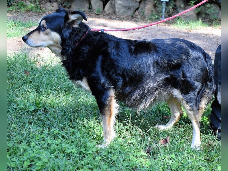 Daxter - Vollbremsung ins Leere