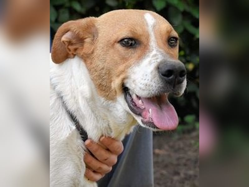 Zela - Z wie Zuckersüß und Zauberhaft