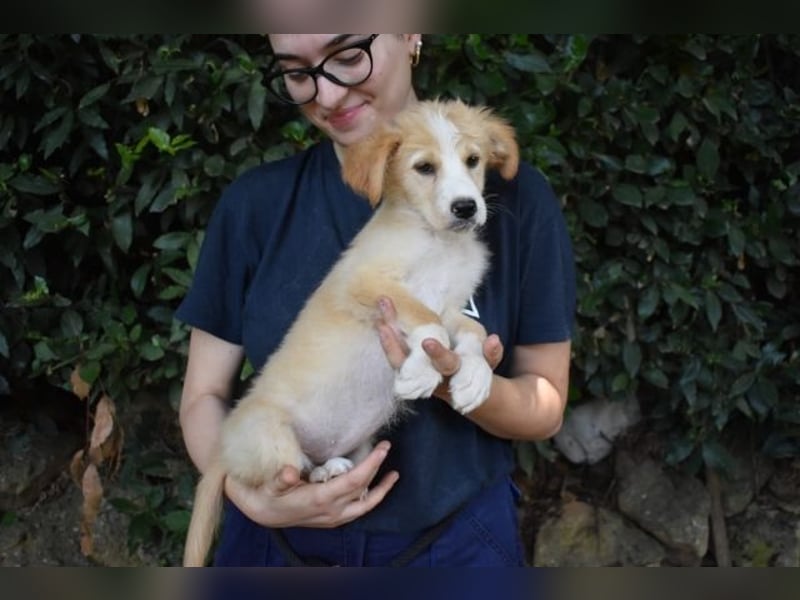 Marula - ...und Mama konnte es dir nicht zeigen